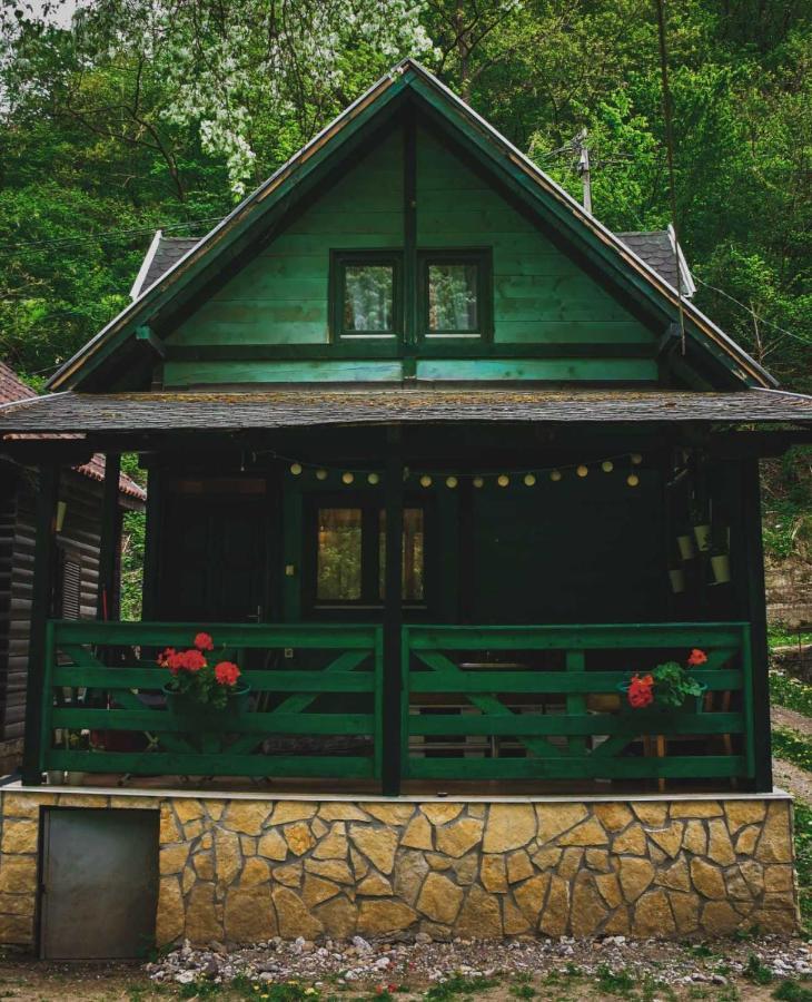 Vikendica,, Tadic,, Ovcar Banja Villa Kültér fotó